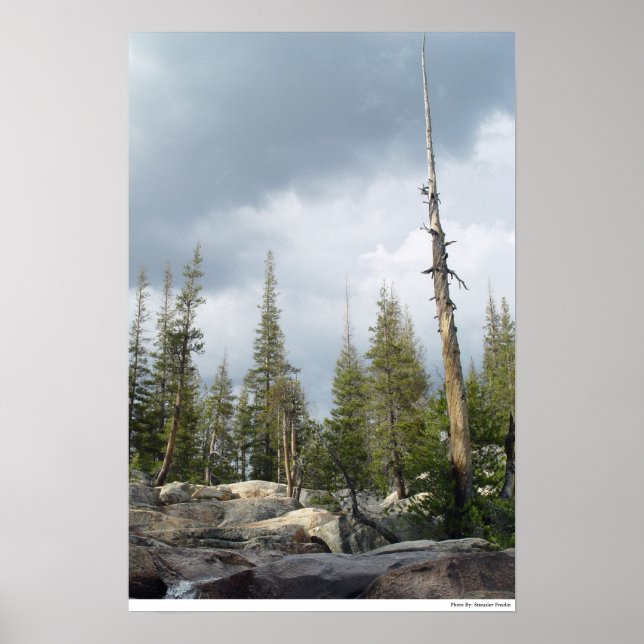 Poster Flèche de tempête (Devant)