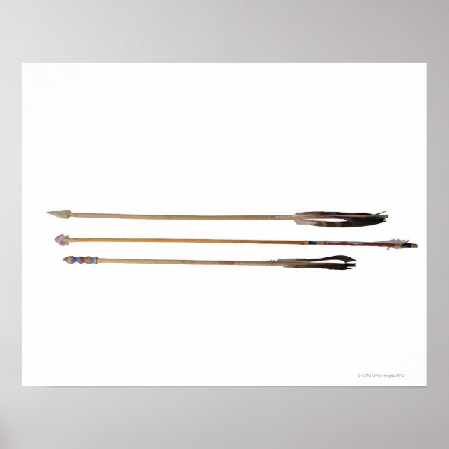 Poster Flèches (Devant)