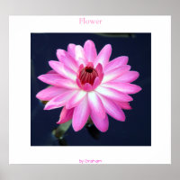 Fleur
