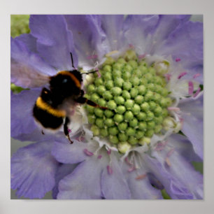 Poster Fleur #6 (détail)