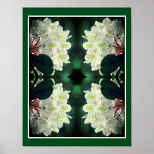 Poster Fleur Azalée Blanche Avec Raindrops Abstrait