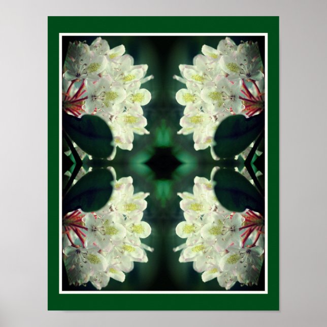Poster Fleur Azalée Blanche Avec Raindrops Abstrait (Devant)