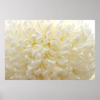 Fleur blanche