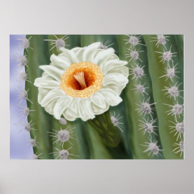 Poster Fleur blanche Saguaro Cactus illustrée (Devant)