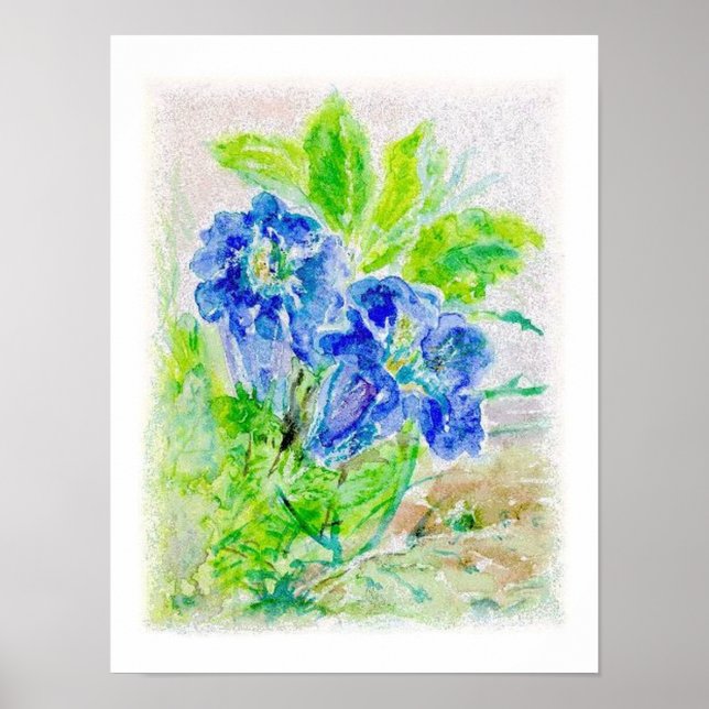 Poster Fleur bleue Illustration (Devant)