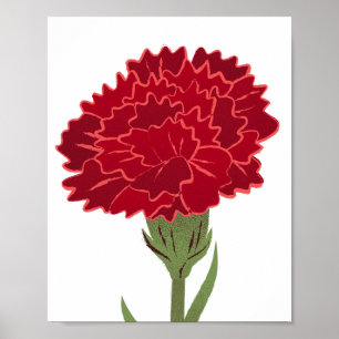 Poster Fleur Carnation Rouge