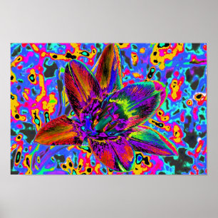Poster Fleur colorée