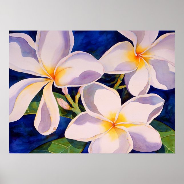 Poster Fleur complète (Devant)