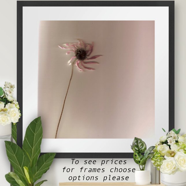 Poster Fleur conique (Créateur téléchargé)