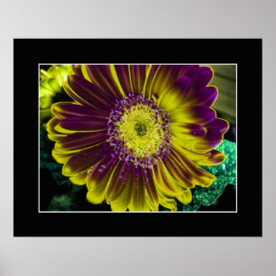 Poster Fleur Dahlia Jaune Art Abstrait