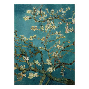 Poster Fleur d'amande