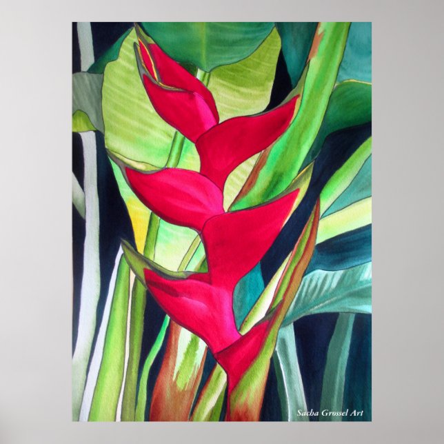 Poster Fleur d'aquarelle tropicale Heliconia (Devant)