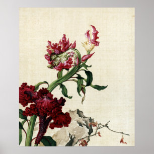 Poster Fleur d'art vintage coq-de-roche rouge en chinoise