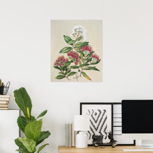 Poster Fleur de Arbuste Vintage