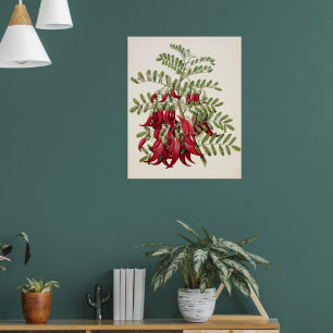 Poster Fleur de bec de Kaka rouge vintage, art botanique