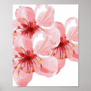 Poster Fleur de cerise