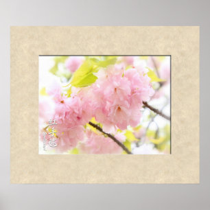 Poster Fleur de cerise double : Benitemari