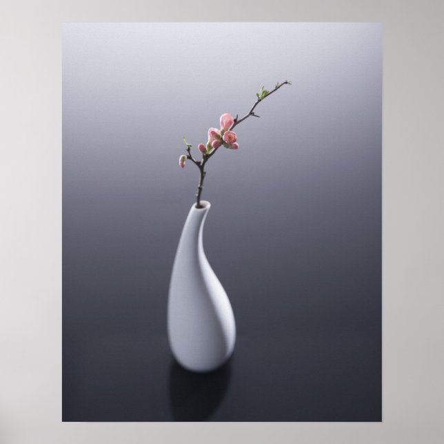 Poster Fleur de cerisier dans le vase (Devant)