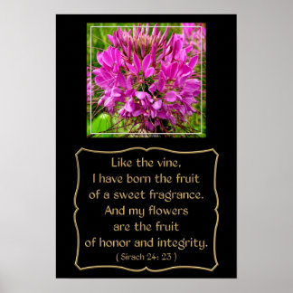 Poster Fleur de Cleome avec Verse de Bible de Sirach 24:2