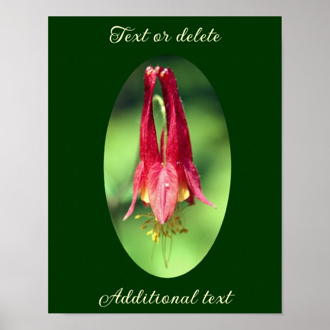 Poster Fleur de colonne sauvage Ajouter votre texte (Devant)
