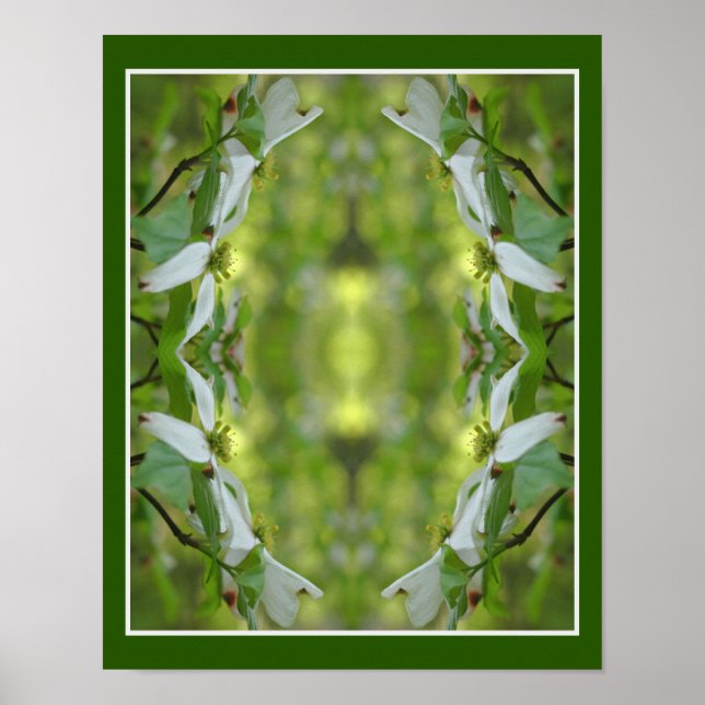 Poster Fleur de Dogwood sauvage fleurit Abstrait (Devant)