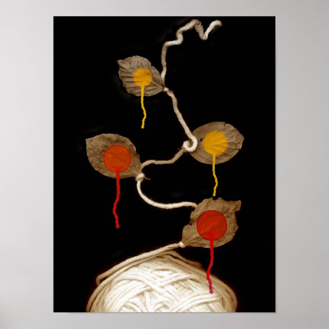 Poster fleur de fils 2013 (Devant)