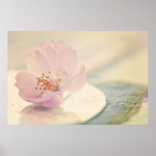 Poster Fleur de fleurs de cerisier rose doux