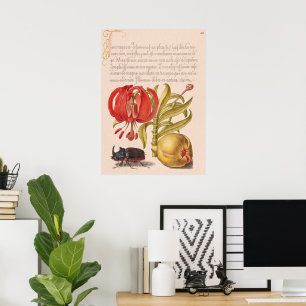 Poster Fleur de grenade, Fruit et Rhinoceros Beetle