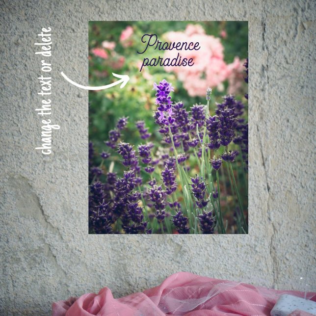 Poster Fleur de lavande et rose du jardin provençal (Créateur téléchargé)