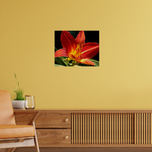 Poster Fleur de lis jourdan orange Photographie