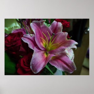 POSTER FLEUR DE LIS ROSE
