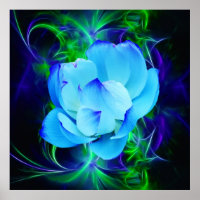 Fleur de lotus bleu et sa signification