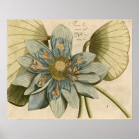 Fleur de Lotus Bleu sur Arrière - plan Tan avec éc