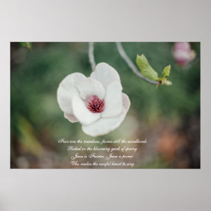 Poster Fleur de Magnolia Japonaise Blanche avec Ancien Hy