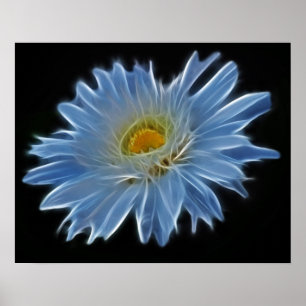Poster Fleur de marguerite