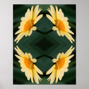 Poster Fleur de marguerite jaune fermer miroir Abstrait