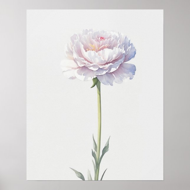 Poster Fleur de naissance Janvier Carnation (Devant)