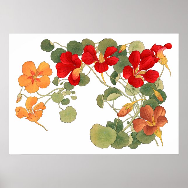 Poster Fleur de Nasturtium, ukiyo japonais e art (Devant)