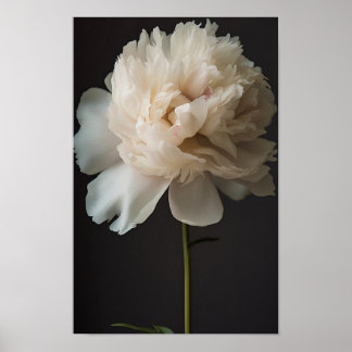 Poster Fleur de pivoine blanche avec Feuilles verts sur d