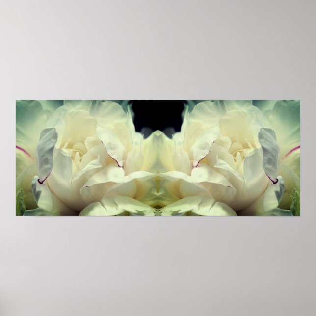 Poster Fleur de pivoine blanche dans miroir de fleurs Abs (Devant)