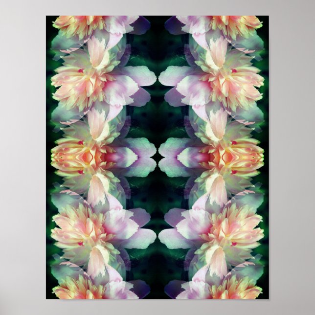 Poster Fleur de pivoine rose Abstraite (Devant)