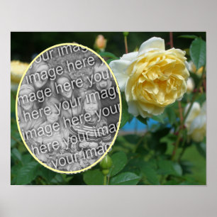 Poster Fleur de rose jaune Créez votre propre photo