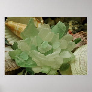 Poster Fleur de verre de mer vert