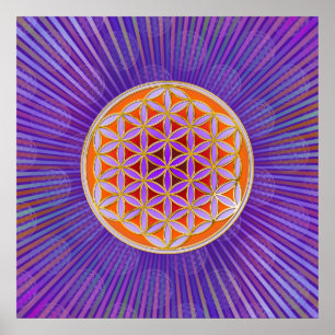 Poster Fleur de vie - Bouton Style violet orange