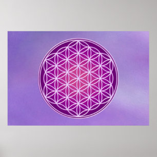 Poster Fleur de vie - Couronne Chakra