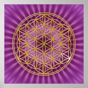 Poster Fleur De Vie or, brillance magenta
