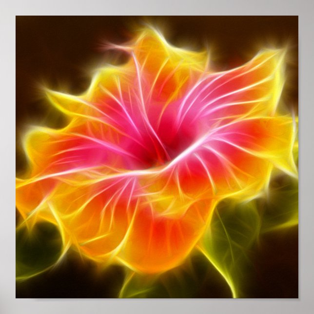 Poster Fleur d'Hibiscus aux couleurs vives (Devant)