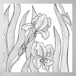 Poster Fleur d'Iris conçue à l'encre noire