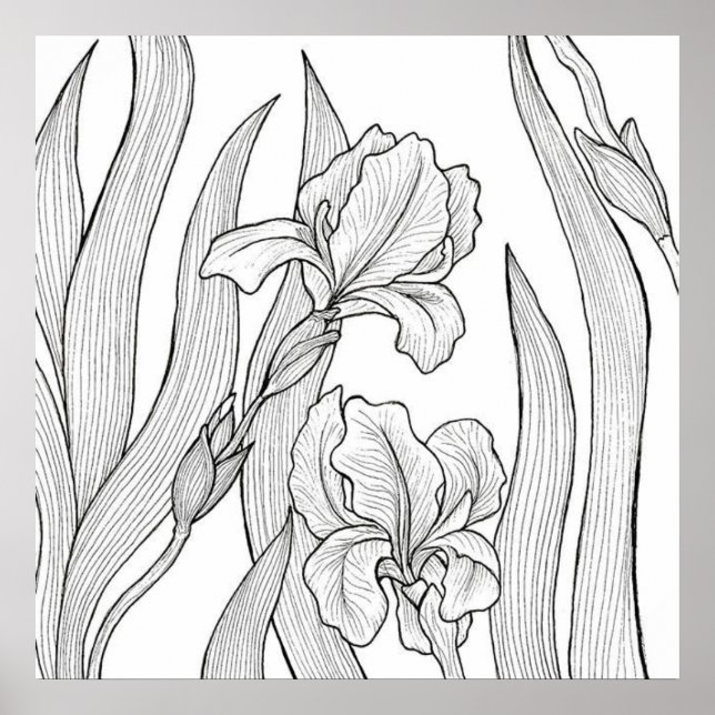 Poster Fleur d'Iris conçue à l'encre noire (Devant)