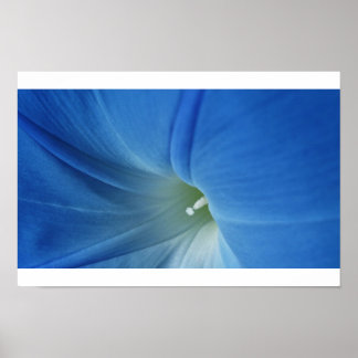 Poster Fleur du matin